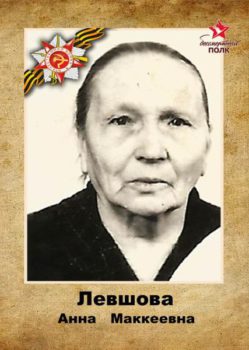 Левшова А.М.